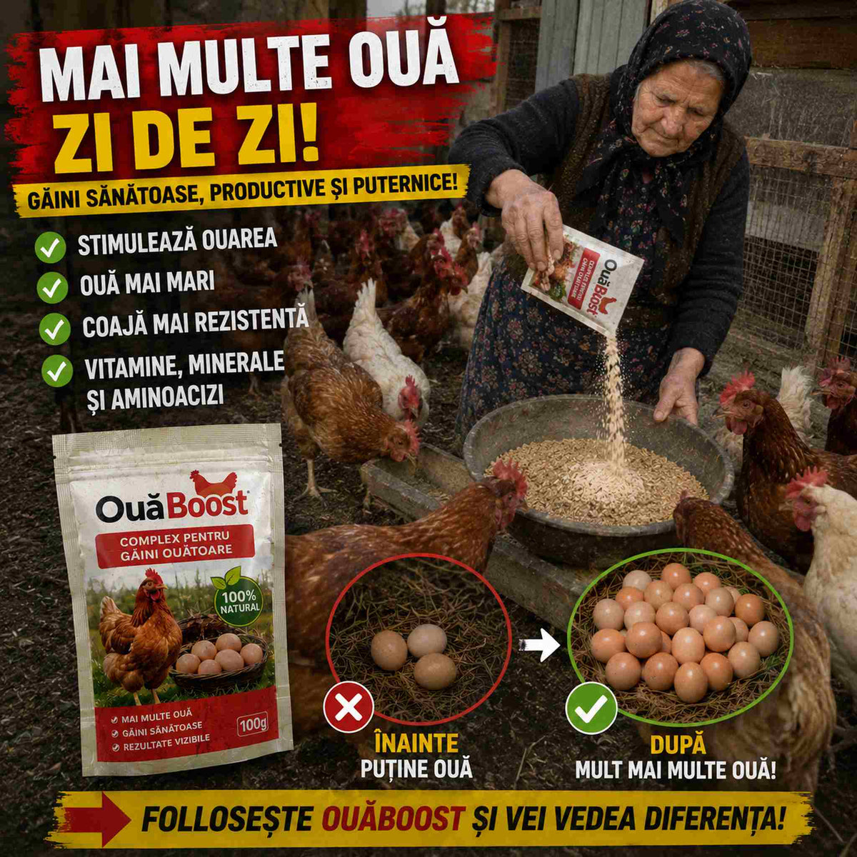 Mai Multe Ouă de la Găinile Tale - OuăBoost